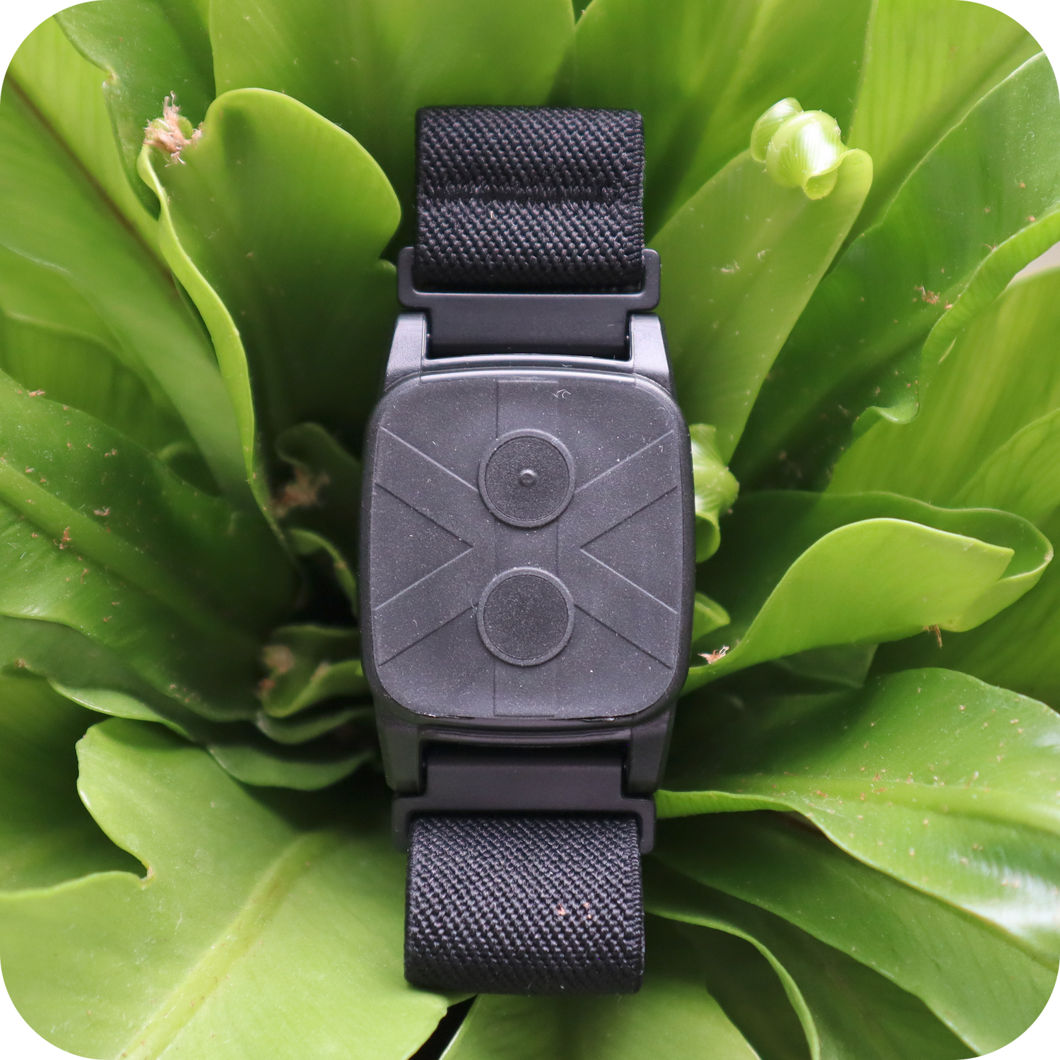 xBand xTactor xBand xTactor